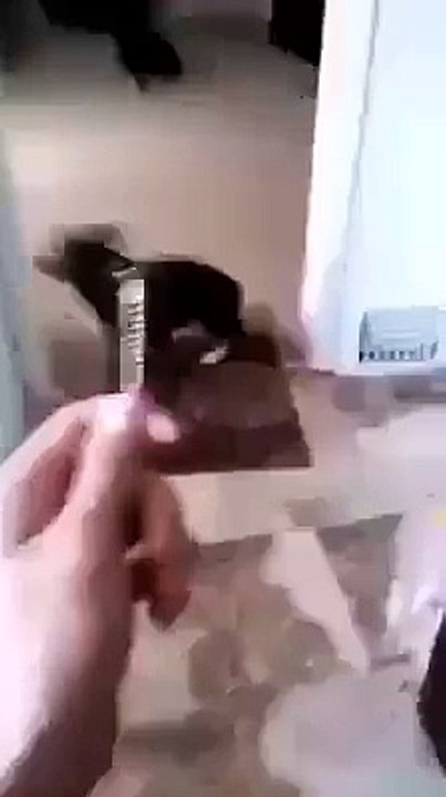 attend je t'attrape avec n'importe quel objet