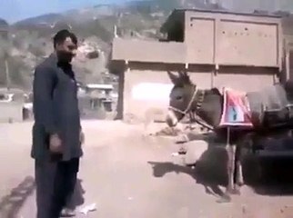 ان دونو میں کیا فرق ہے