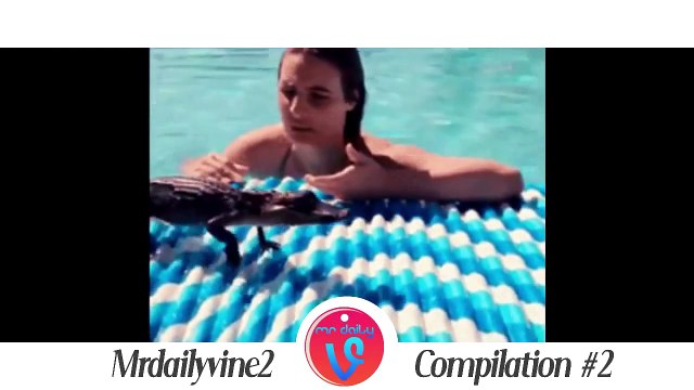 Gif with sound | Mr Daily Vine | Funny Gifs With Sound Mashup Compilation 2015 100 Gif