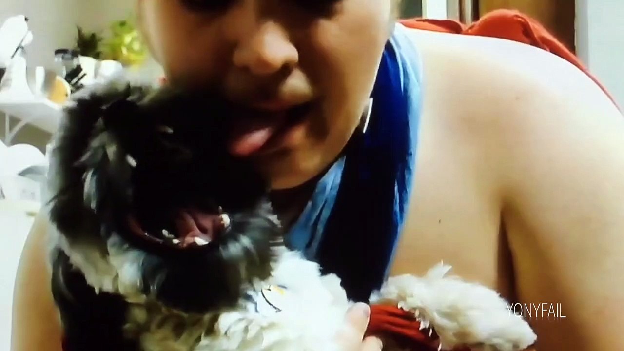 Videos de Risa 2015 - Perro Bailarin