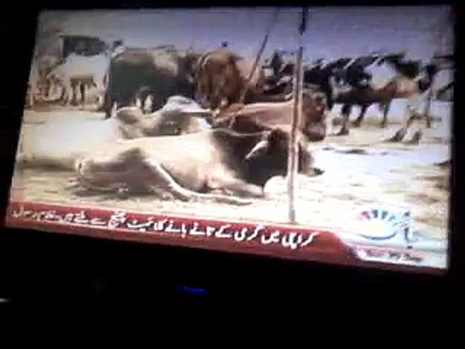 eid