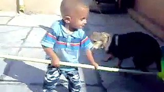 Funny Video Brave Child Vs Dog :)