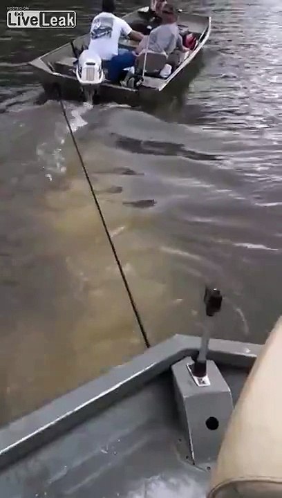 Drunk Guy Gets Knocked Out by a Beer Can! -Vertical Cam-