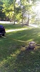 Very Stupid funny mistake-Funny mishappes