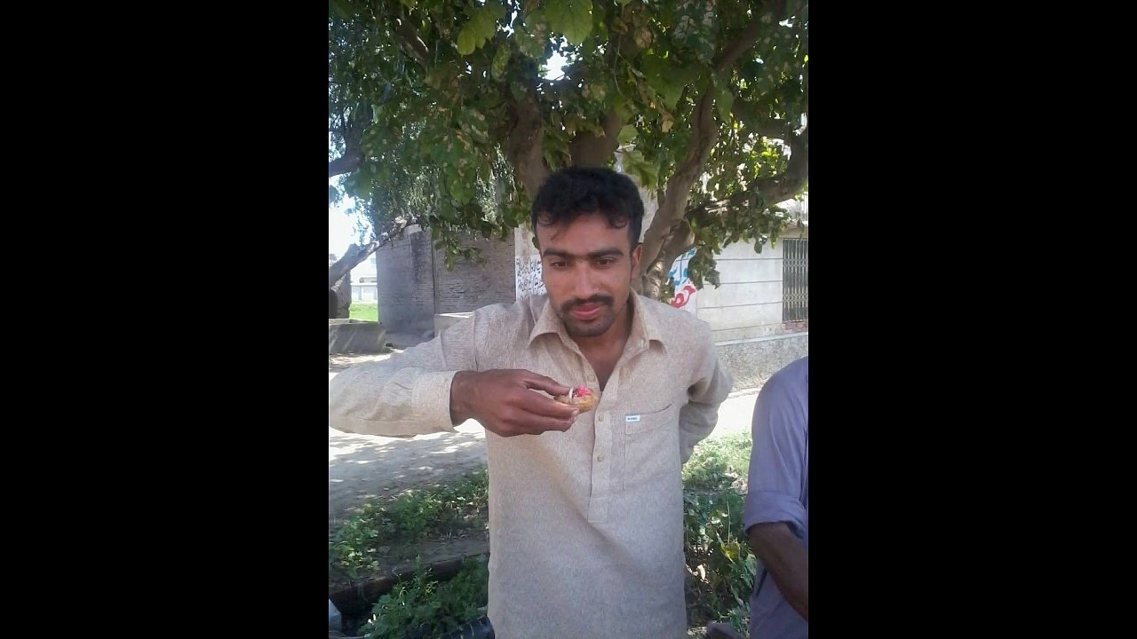 majid gondal