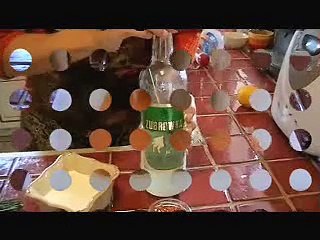 Verrines de saumon au mascarpone