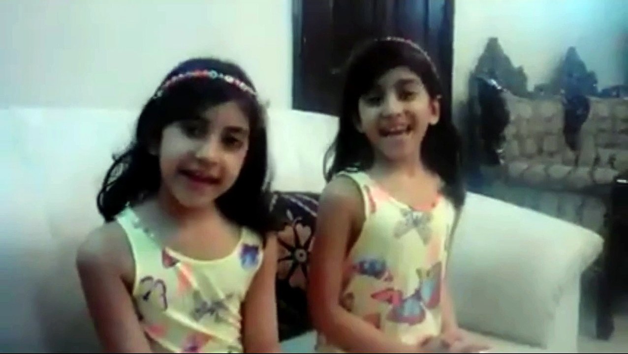 Awesome Twins Funny Video
