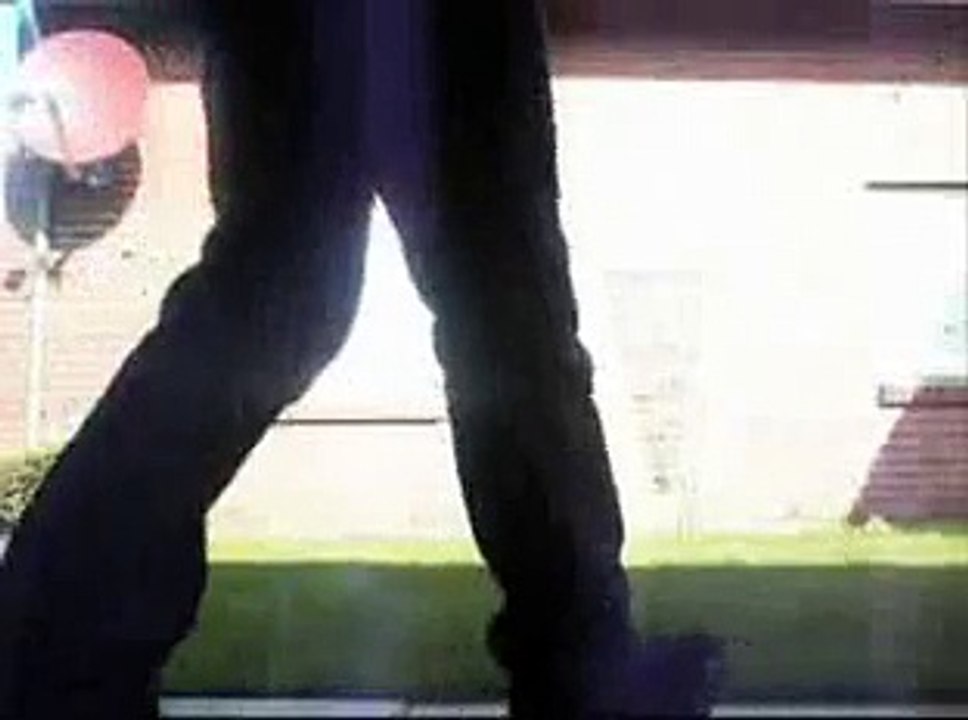 Paf le chat ! Vidéo Dailymotion