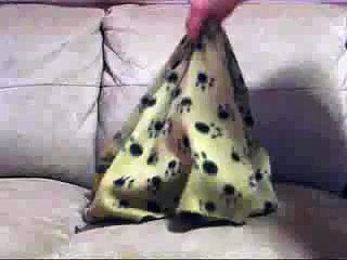 Les chiens aussi connaissent l'électricité statique !