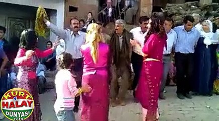 HARİKA Bİ DÜĞÜN YÖRE AMED HAKKARİ VE ŞIRNAK