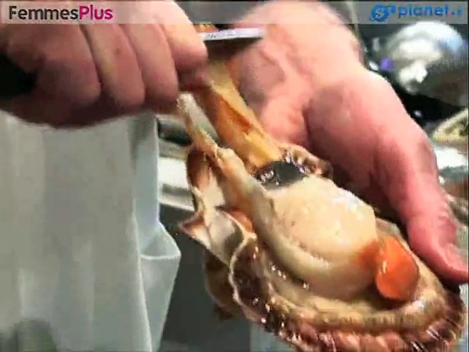 Comment ouvrir une coquille Saint-Jacques ?