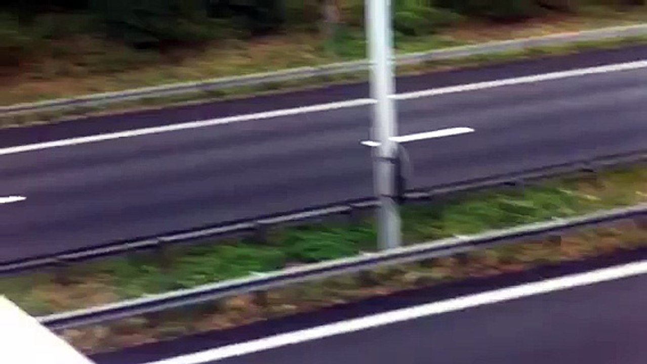 Une vache bloque l'autoroute à Limoges !