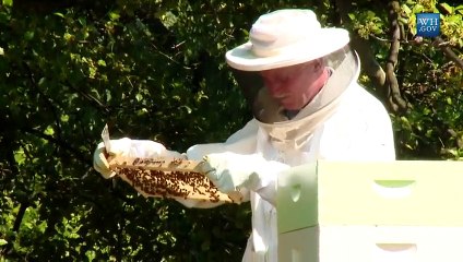 Barack Obama révèle le secret de la bière de la Maison Blanche !