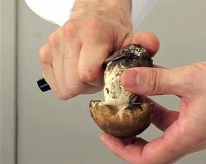 Préparer un cèpe