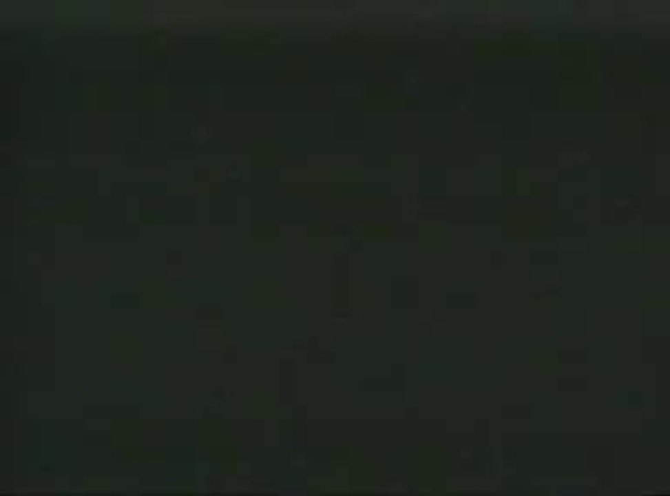 Pierre et le loup film 1946 walt disney