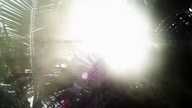 Angelina Jolie, égérie de Louis Vuitton