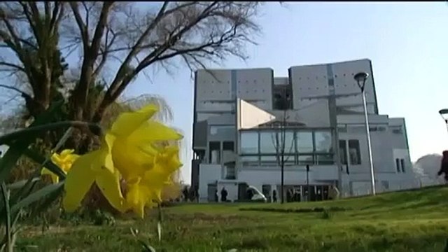 Les moutons-tondeuses débarquent à Paris