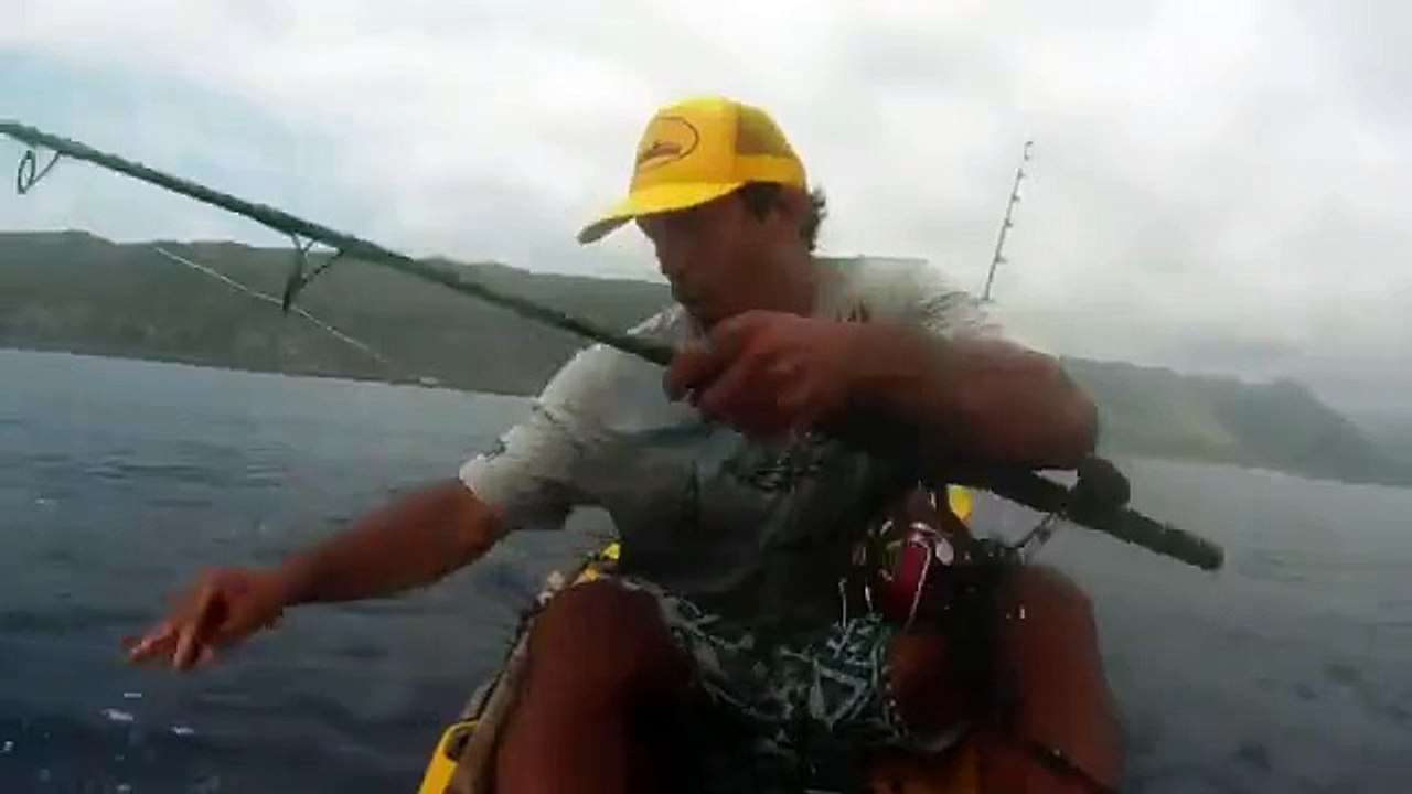 Le pêcheur et le requin