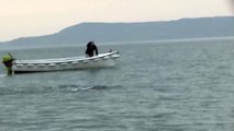 Le monstre du Loch Ness filmé en Irlande ?