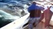 Un grand requin blanc attaque un bateau de pêche