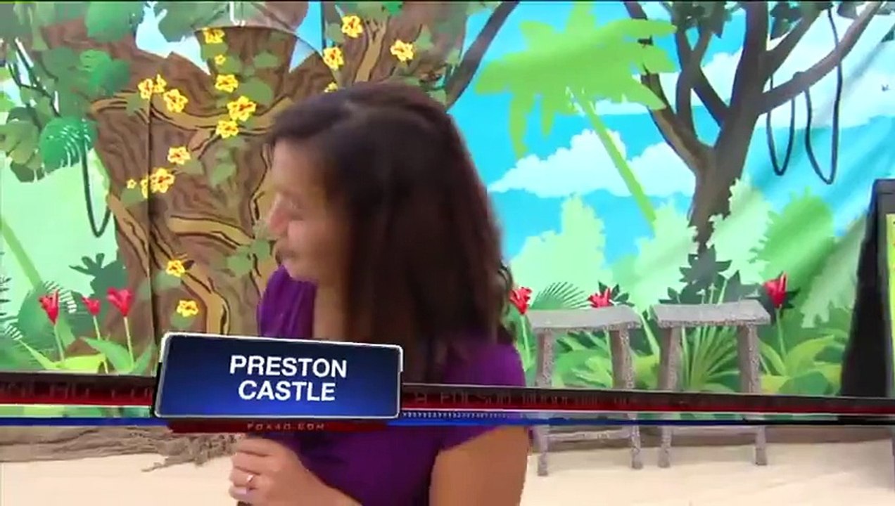 Un babouin coquin profite d'une journaliste !