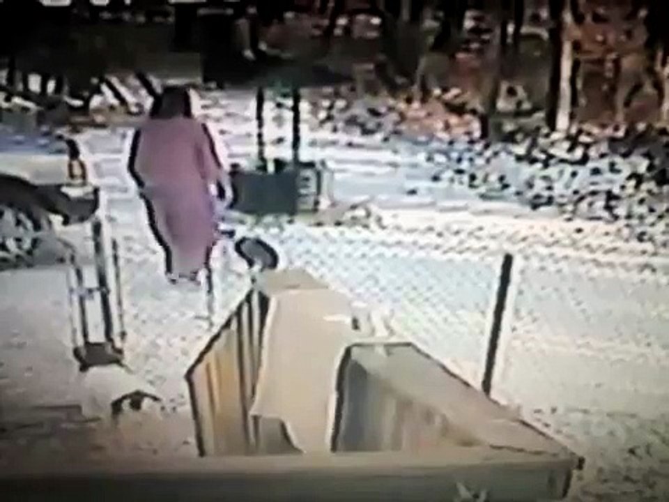 Un chat attaque violemment une femme