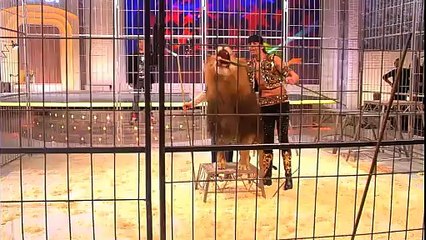 Stéphane Bern a peur et se cache derrière Stéphanie de Monaco dans la cage au lions