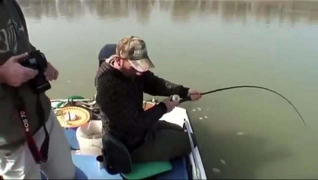 Il pêche un incroyable poisson-chat de 100 kilos !