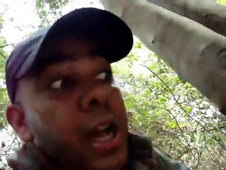 Ce crocodile a eu la mauvaise idée de manger une anguille électrique !