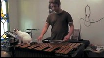 Pas facile de jouer du vibraphone quand le chat est dans le coin