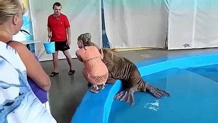 Un morse met une main aux fesses d’une femme