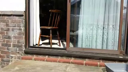 Drôle de miaulement d’un chat