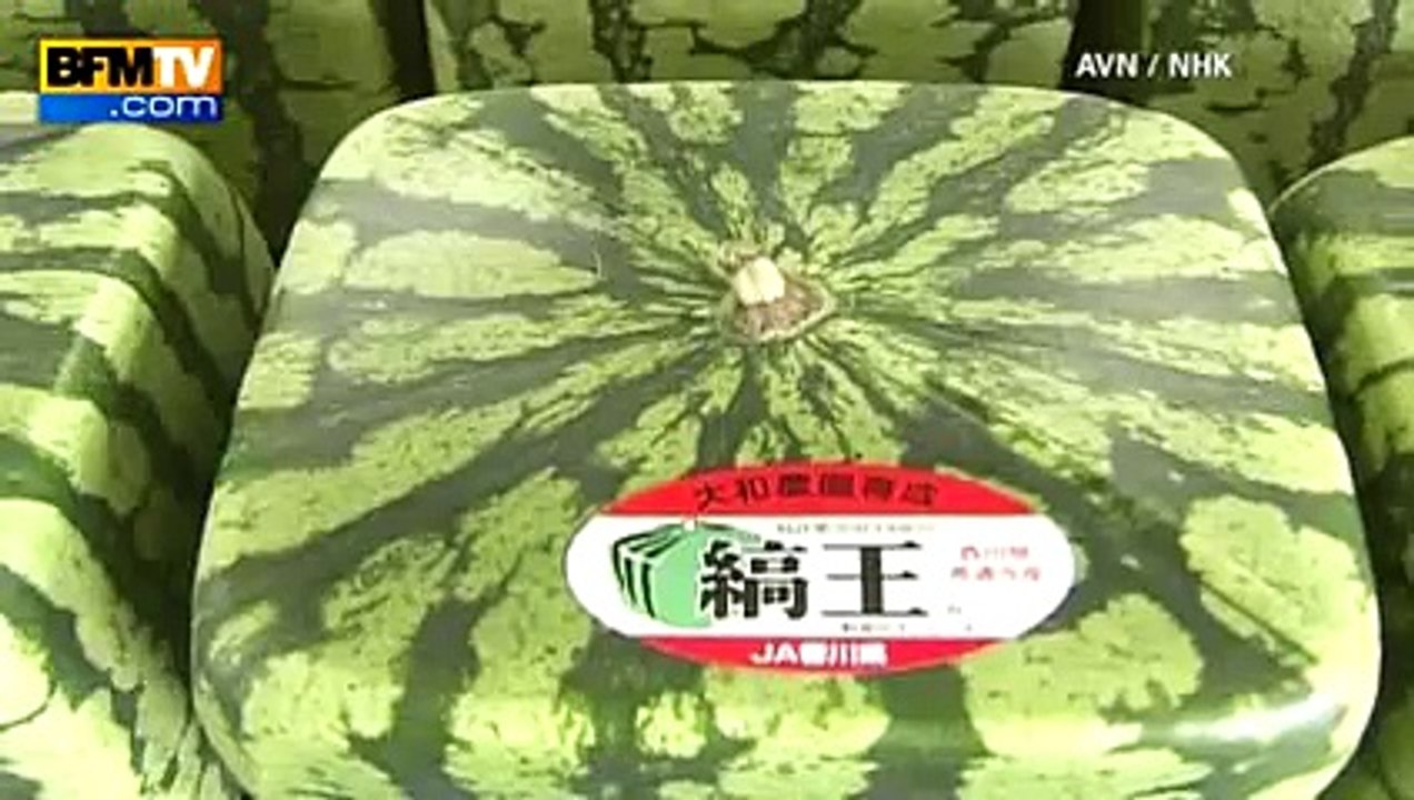 Découvrez les pastèques... carrées !