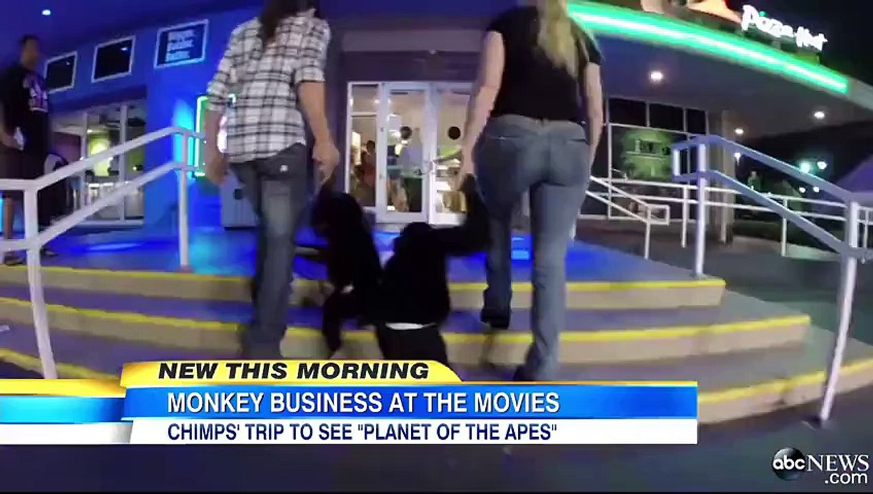 2 chimpanzés au cinéma pour la Planète des Singes