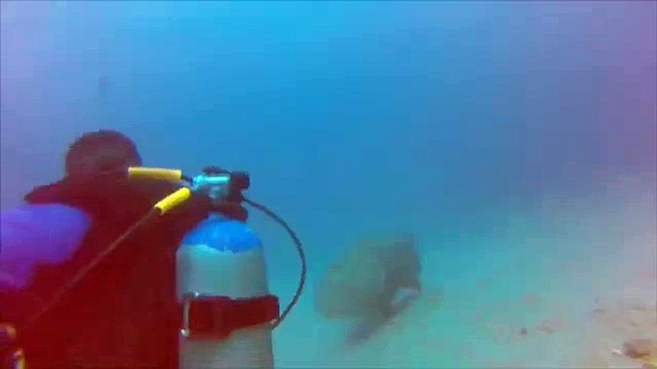 Le comble : un plongeur se fait voler sa pêche par un poisson !