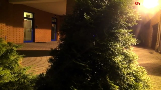 Caméra cachée : un chien déguisé en araignée mutante terrorise des passants