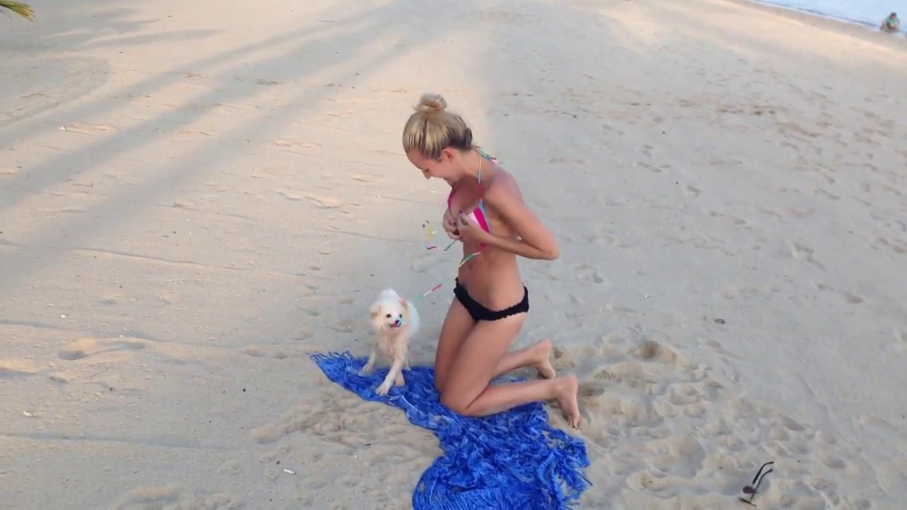 Elle empêche de se faire enlever son bikini par un chiot un peu coquin -  Vidéo Dailymotion