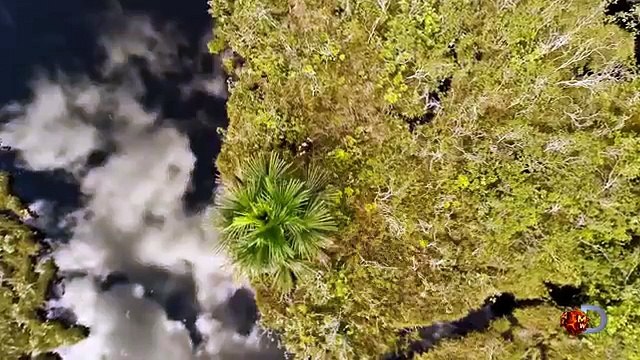 Eaten Alive : l'émission où un homme se fait avaler vivant par un anaconda