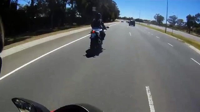 Un kangourou saute au-dessus d'un motard à pleine vitesse