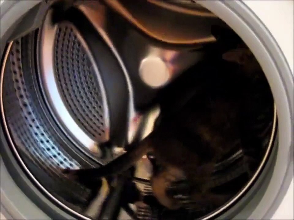 Un chat qui court dans une machine à laver