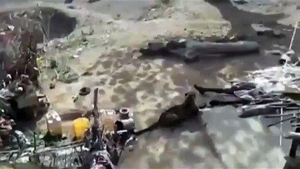 Vidéo choc : Il essaie de faire fuir un léopard avec un bâton... mauvaise idée !