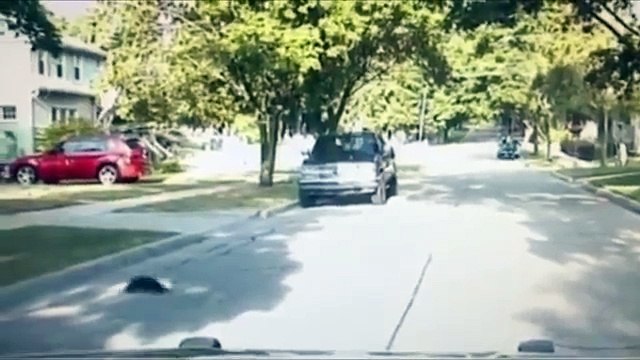 Quand un policier vient en aide à une mouffette qui a la tête coincée dans un pot de yaourt