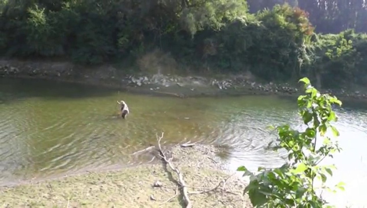 O´Maly in Fishing in Action (Clip)