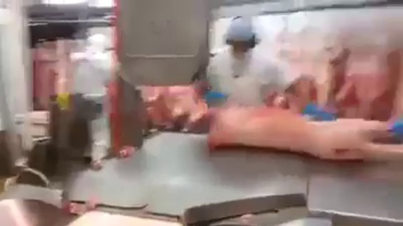 Slaughter House