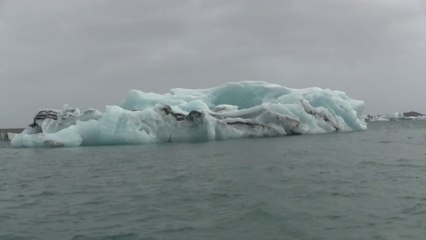 Islande - Au milieu des icebergs et des phoques...
