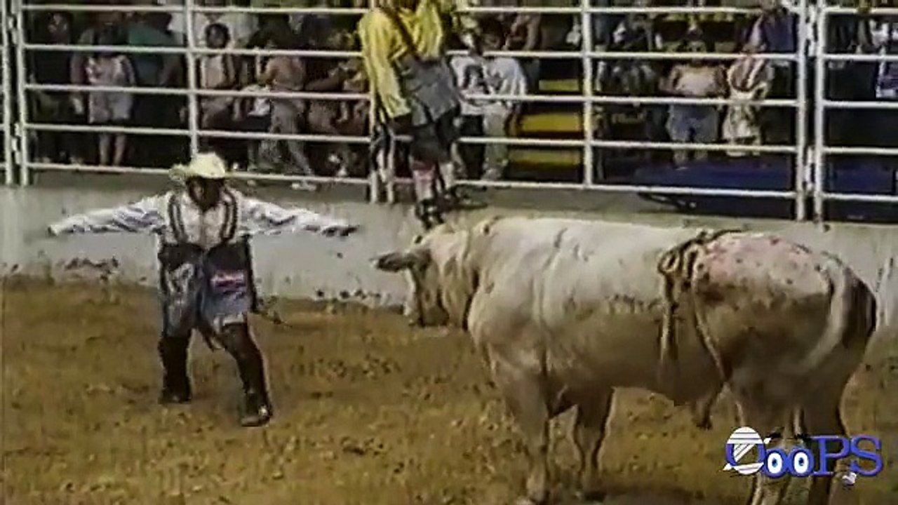 Bull fighting FUNNY VIDEOS