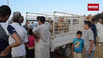 dur dur d'acheter son mouton