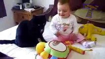 Funny cats and babies playing together - Cute cat & baby compilation - YouTube