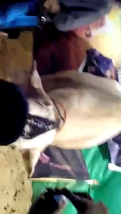 VID-20150920-WA0000.mp4