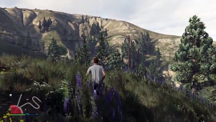 GTA Bug arbre et moto